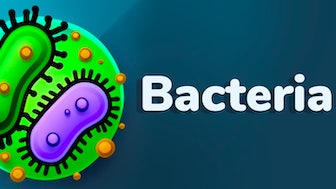 bacteria-nrz-cover